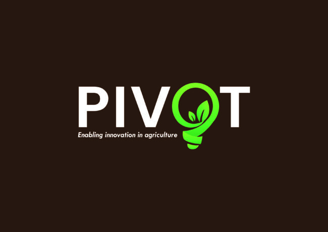 PIVOT Award 2026